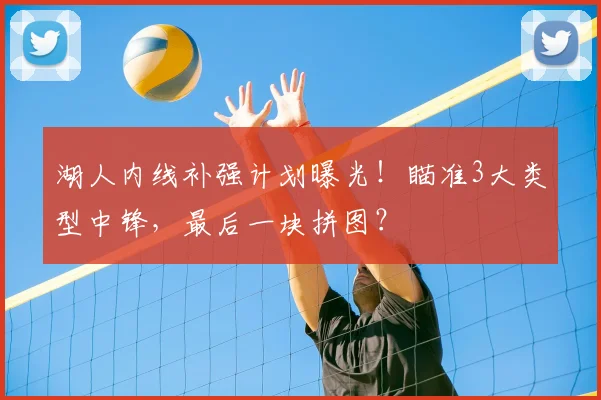 湖人内线补强计划曝光！瞄准3大类型中锋，最后一块拼图？